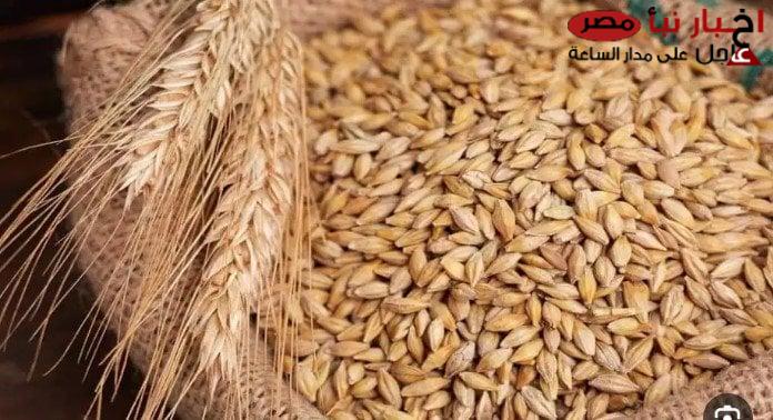 سعر طن الأرز الشعير اليوم الخميس الموافق 13 فبراير 2025 للمستهلك في المحال التجارية ومضارب الارز