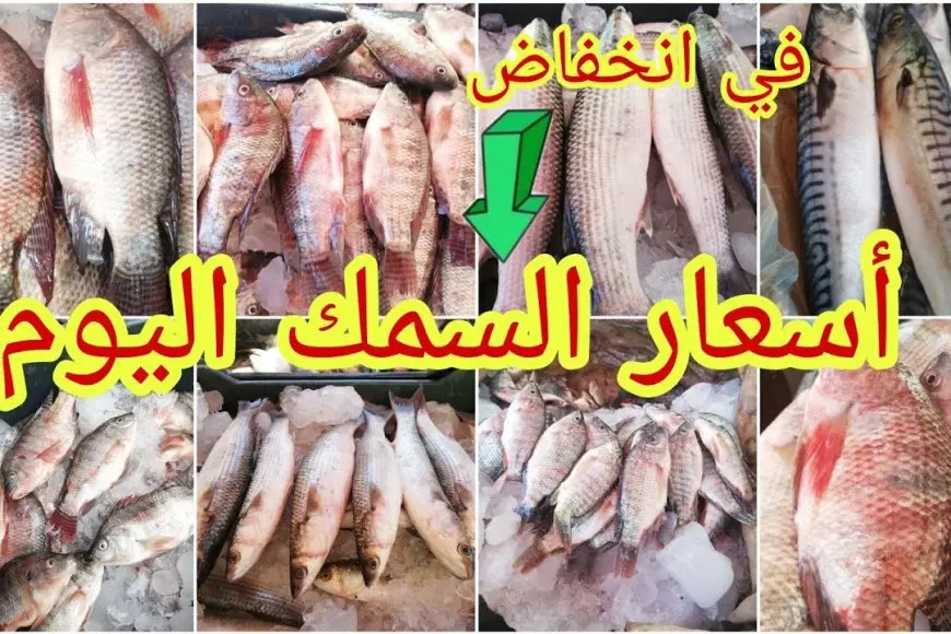 “إرتفاع جديد للبلطي” .. اسعار السمك اليوم الأربعاء 12-2-2025 في سوق العبور بالكيلو لجميع التجار والمُستهلكين