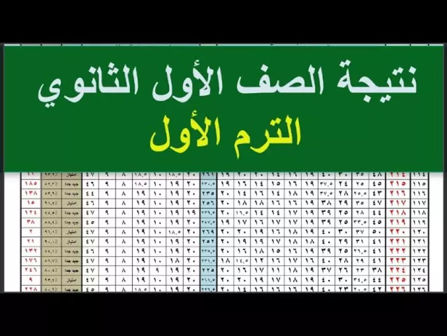 هنــا.. رابط نتيجة الصف الأول الثانوي محافظة القاهرة برقم الجلوس عبر eduserv.cairo.gov.eg