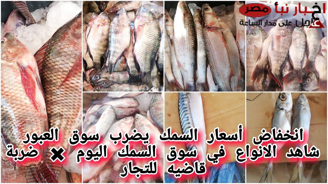 أسعار السمك اليوم للمستهلك الأربعاء 19 فبراير 2025 في سوق العبور والاسواق المحلية