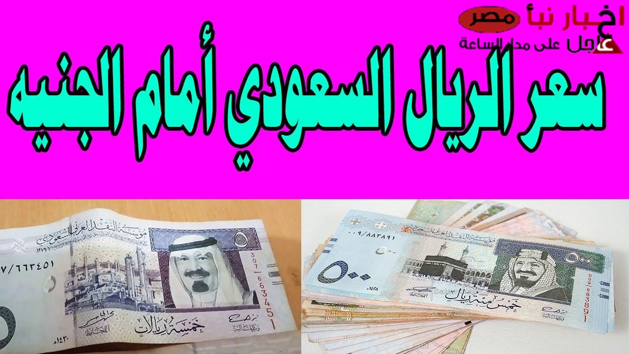 لحظيا.. سعر الريال السعودي اليوم الخميس 20 فبراير 2025 في البنوك والسوق السوداء