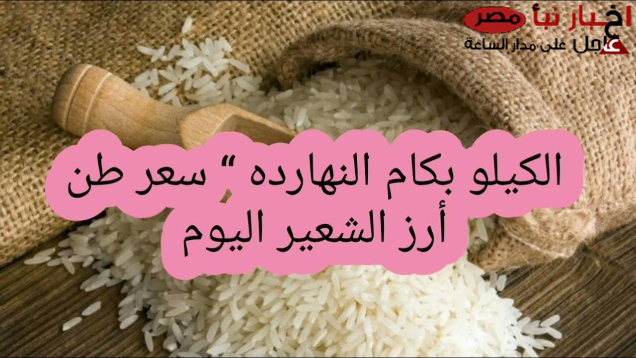 رفيع وعريض.. سعر طن الأرز الشعير اليوم الاثنين 17 فبراير 2025 للمستهلك في الاسواق المحلية المصرية