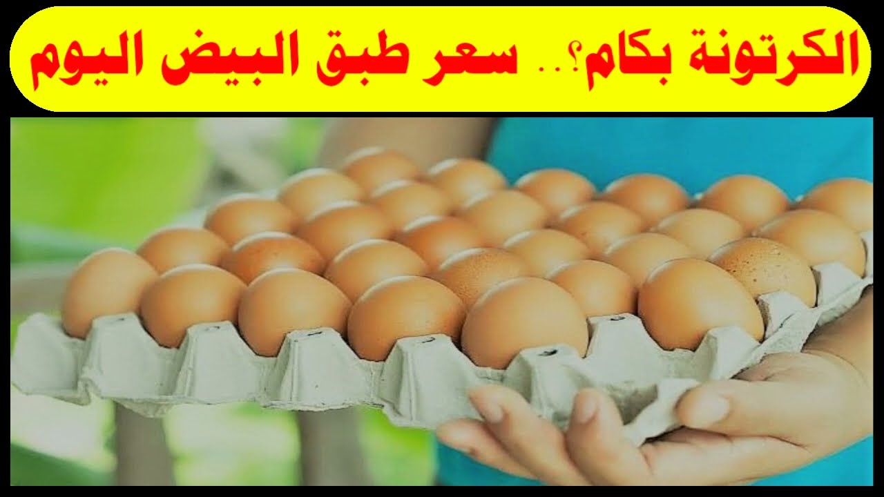 “البلدي – الأحمر – الأبيض” سعر كرتونة البيض اليوم للمستهلك الثلاثاء 4 فبراير 2025 في البورصة والأسواق التجارية