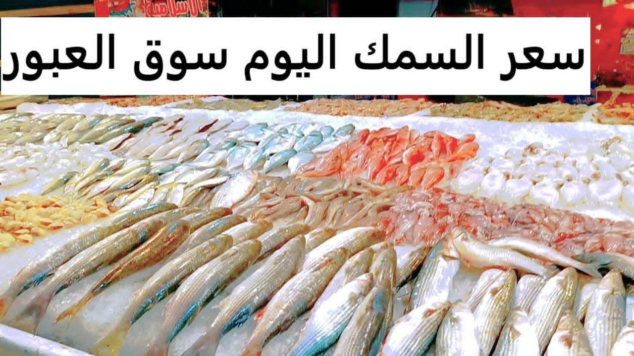 اسعار السمك اليوم الاثنين 24 فبراير 2025 في مصر داخل كافة الاسواق المحلية والتجارية