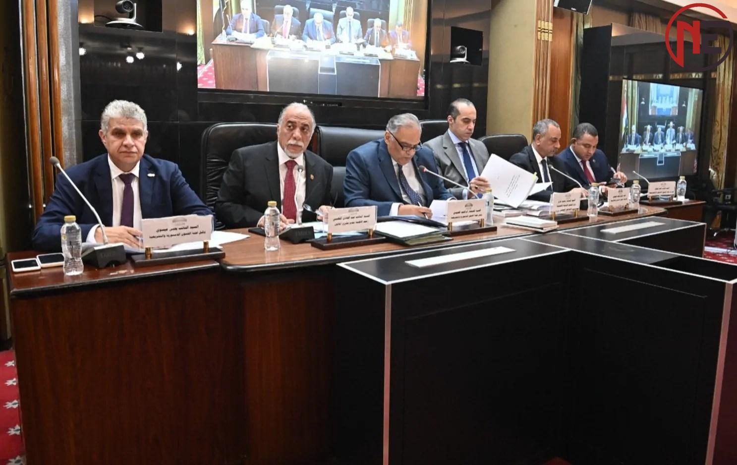 الهنيدي: تقسيم الدوائر الانتخابية من أدق العمليات التشريعية وأهمها تأثيرًا في ضبط ميزان التمثيل النيابي