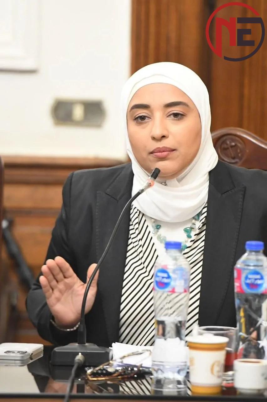 النائبة أميرة أبوشقة: غياب الشفافية وضعف الرقابة أهم أسباب نقص الأدوية.. والفقراء ومحدودي الدخل «يدفعون الثمن»
