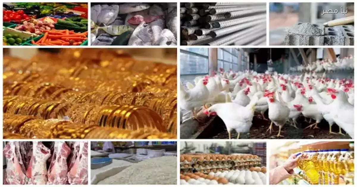 الأسعار مولّعة.. الطماطم والسكر والحديد والأسمنت والذهب يشهدون ارتفاعات ملحوظة