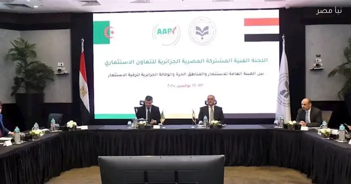 الاقتصاد ياخد جرعة أمل.. مصر والجزائر تعقدان الاجتماع الأول للجنة الفنية لتعزيز التكامل الاستثماري