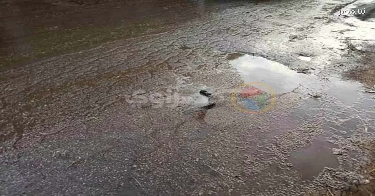 أمطار متوقعة على القاهرة والأرصاد تحذر من تغييرات في الطقس الساعات القادمة