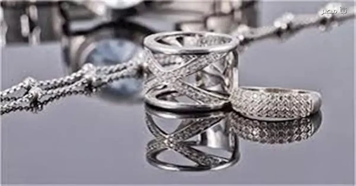 ارتفاع أسعار الفضة إلى مستويات قياسية وشرح لأسباب ذلك من قبل الخبراء