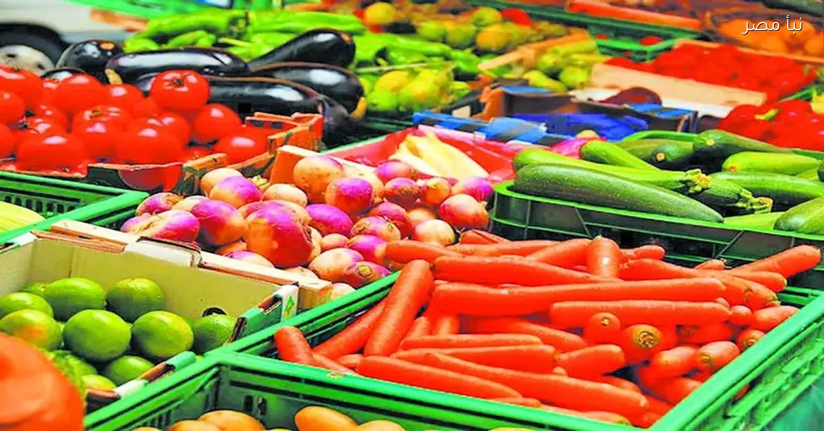 التصدير الزراعي يؤكد أهمية القيمة المضافة لتحقيق التنافسية في الأسواق العالمية