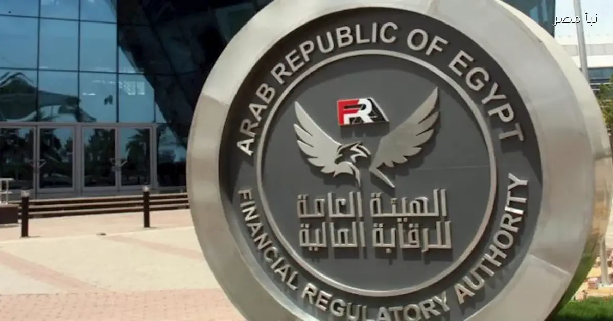 الرقابة المالية تطلق تنظيمات جديدة لدعم تمويل المشروعات الصغيرة