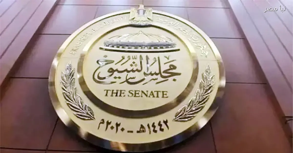 مجلس الشيوخ يحدد موعد مناقشة تعديل قانون الكهرباء والمهن الرياضية الأسبوع المقبل