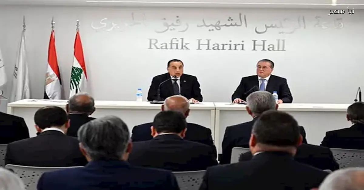 مصر تعتبر لبنان شريكًا اقتصاديًا محوريًا إلى جانب الشراكة السياسية