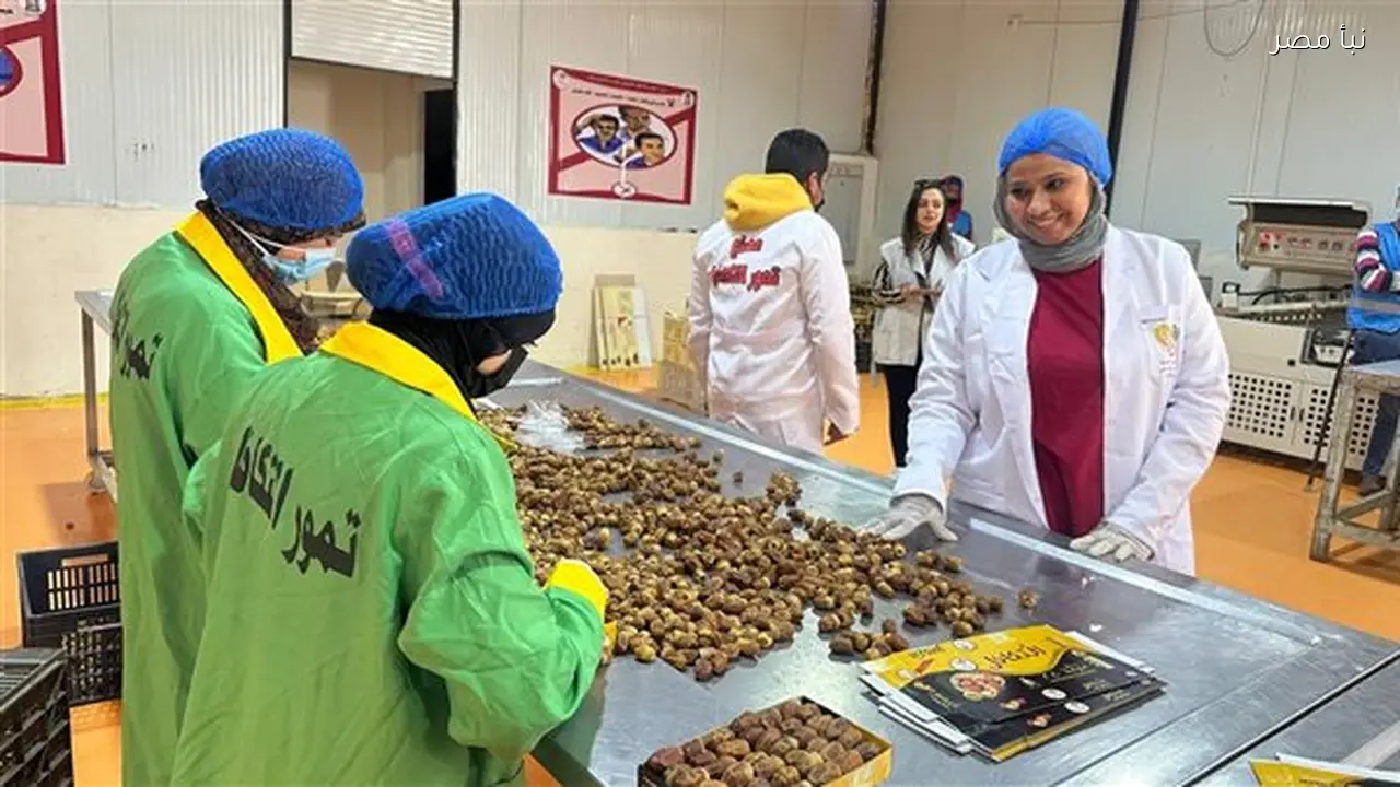 جولة في مصنع تمور التكافل بالوادي الجديد قبل شهر رمضان تعكس جهود صناعة الأمل