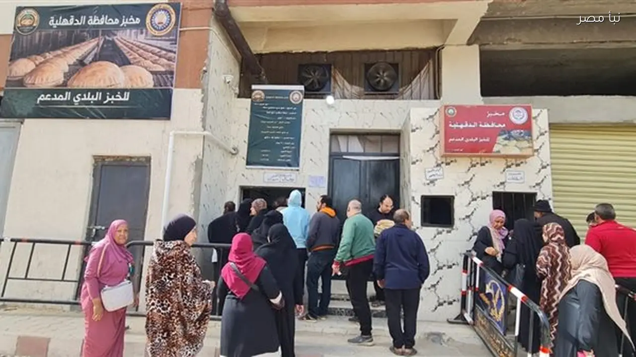 محافظ الدقهلية يعلن تشغيل منظومة متكاملة للسلع الغذائية والخبز المدعم في المنصورة وطلخا