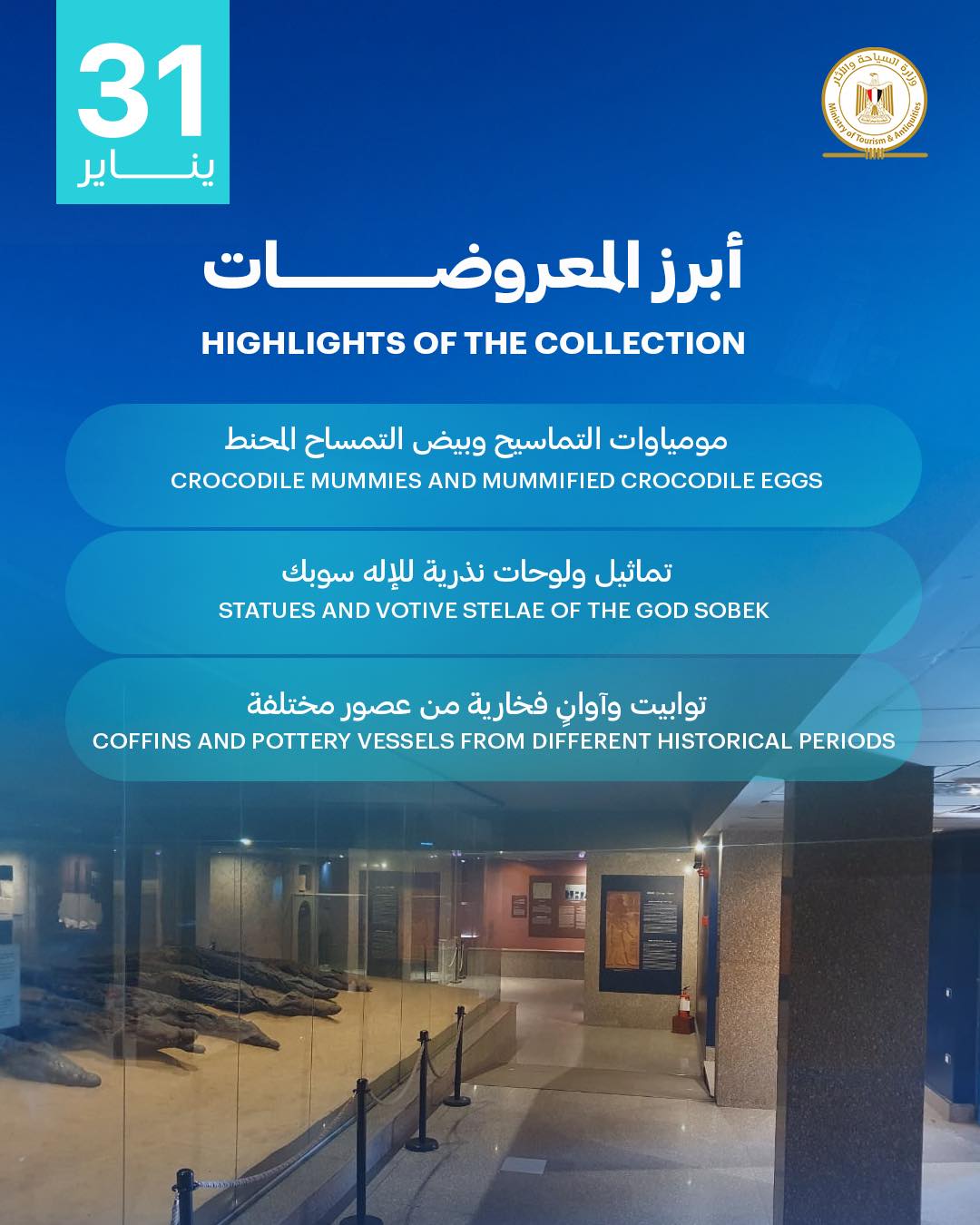 متحف التمساح