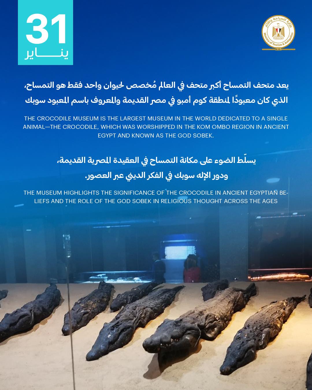 متحف التمساح