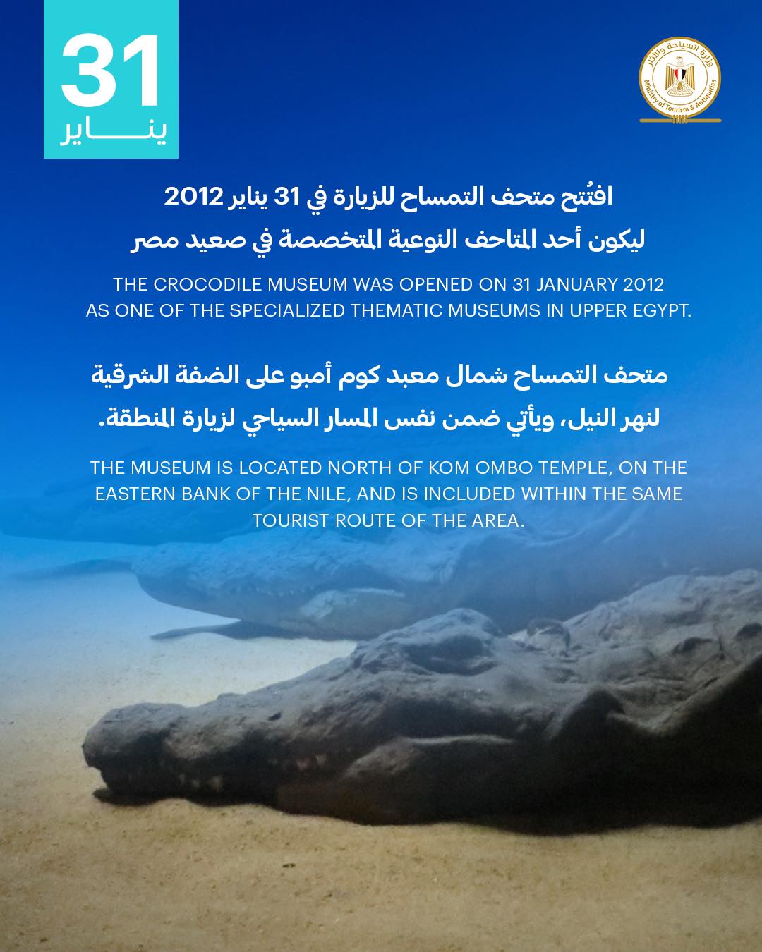 متحف التمساح