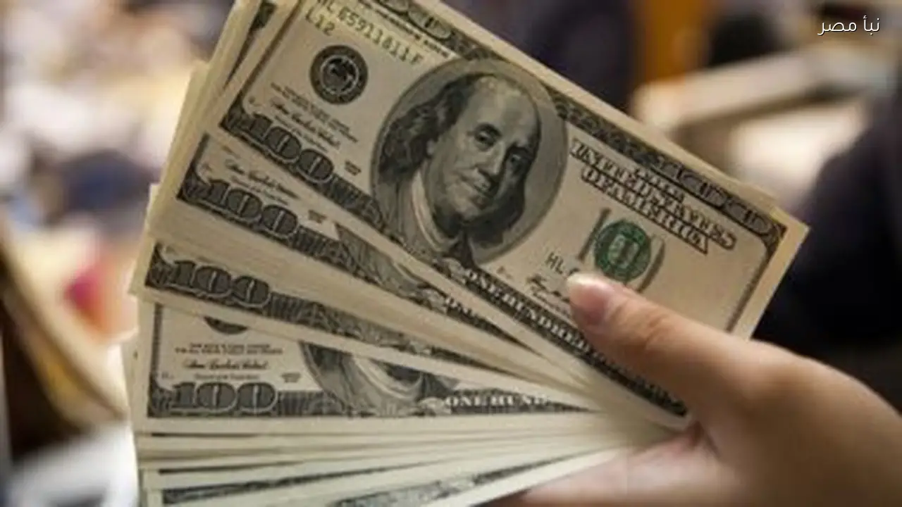 47.29 جنيه سعر شراء الدولار في بنك الإسكندرية