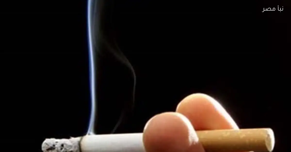 أسعار السجائر اليوم الجمعة 9 يناير 2026 بين الزيادة والتراجع