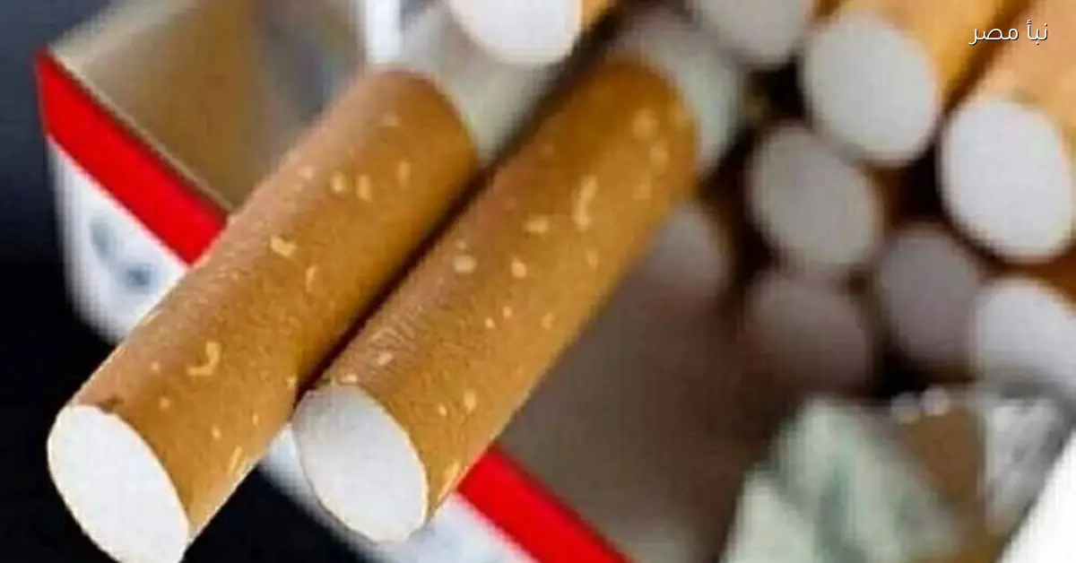 أسعار السجائر في الأسواق المصرية اليوم الخميس 8 يناير 2026