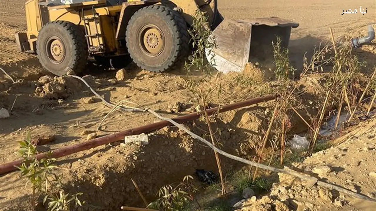 إزالة تعديات على 400 فدان من أملاك الدولة في كوم أوشيم بالفيوم