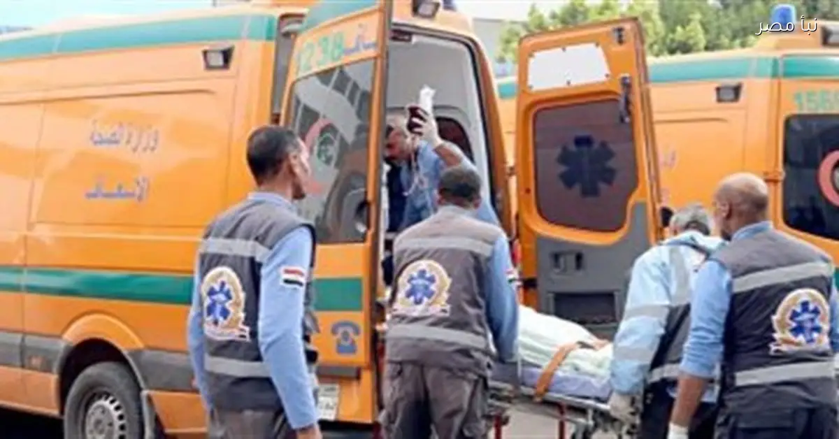 إصابة سبعة أشخاص في انقلاب ميكروباص على الطريق الصحراوي الشرقي بملوي