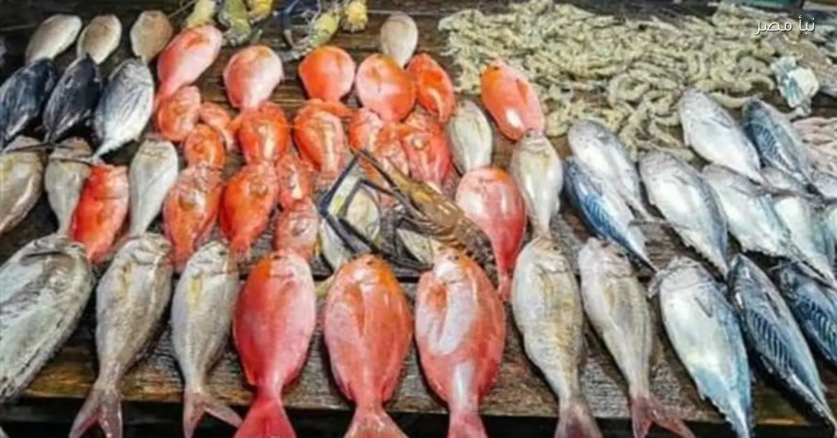 استقرار أسعار المأكولات البحرية في سوق العبور اليوم 20261/5