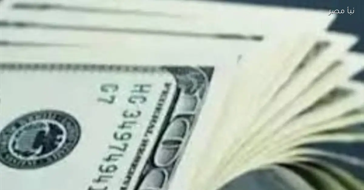 استقرار سعر الدولار في البنوك المصرية اليوم الأربعاء السابع من يناير عام ألفين وستة وعشرين
