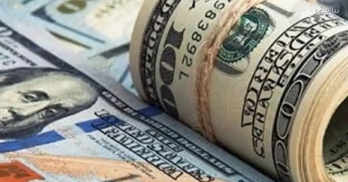 استقرار سعر الدولار مقابل الجنيه في السوق المصري اليوم الجمعة 9 يناير 2025