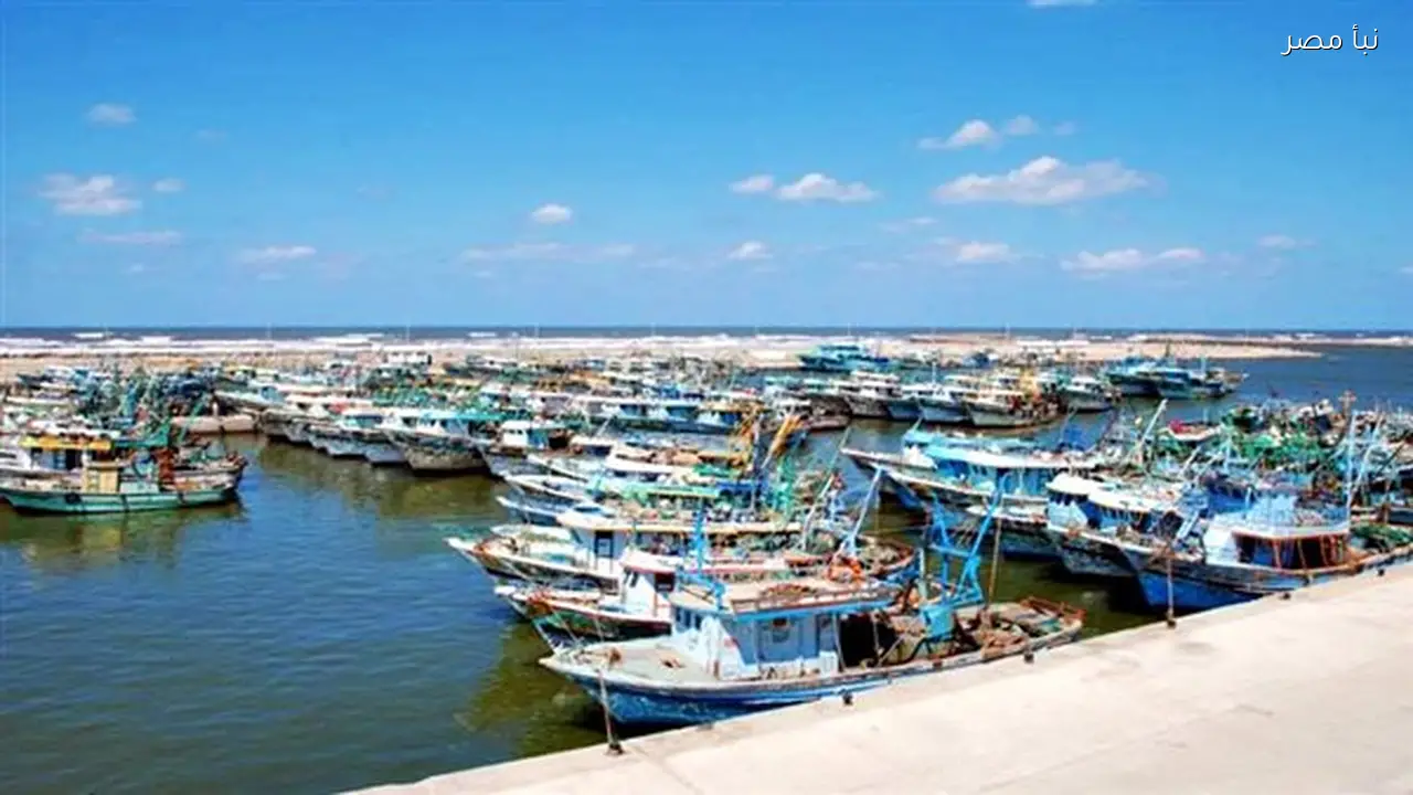 استمرار وقف حركة الصيد بميناء البرلس بكفر الشيخ لليوم الخامس بسبب سوء الأحوال الجوية