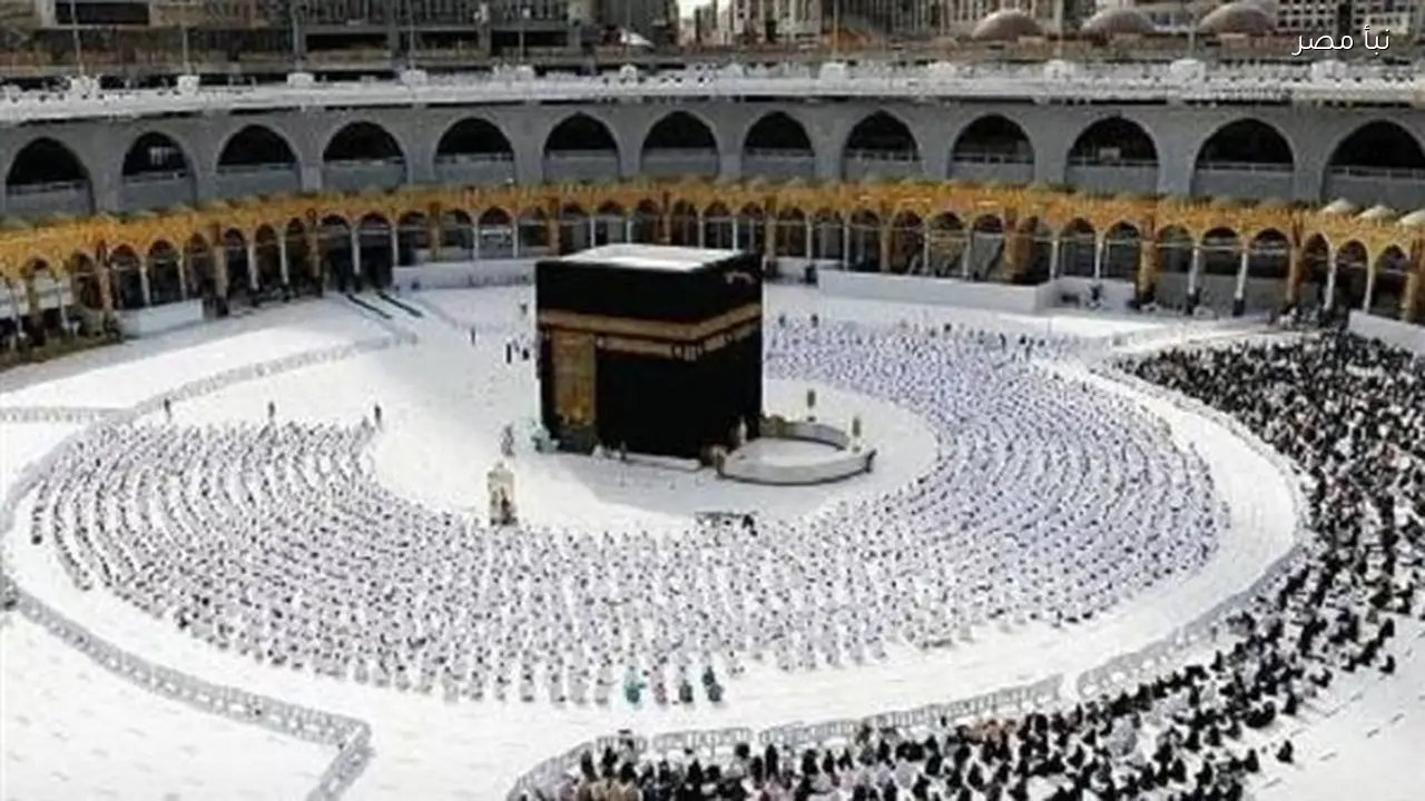 التضامن تعلن عن تسيير أول رحلة عمرة في 25 شعبان الجاري وفق تأكيدات نبأ مصر