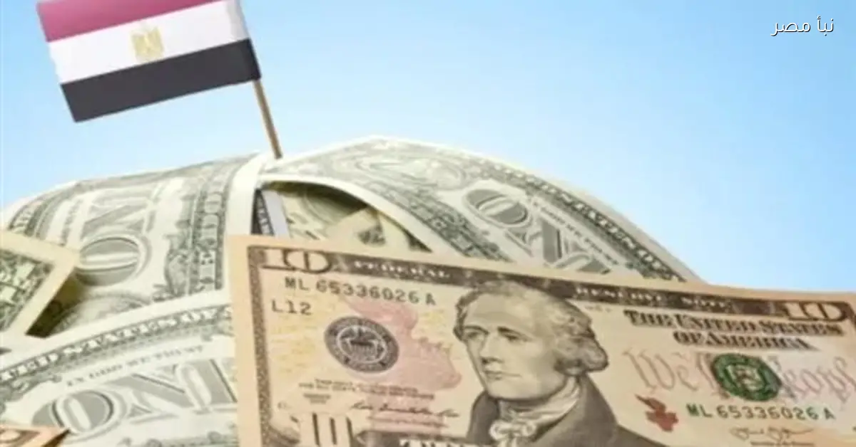 الدولار يتراجع أمام الجنيه خلال منتصف تعاملات اليوم بفرق عشرين قرشًا