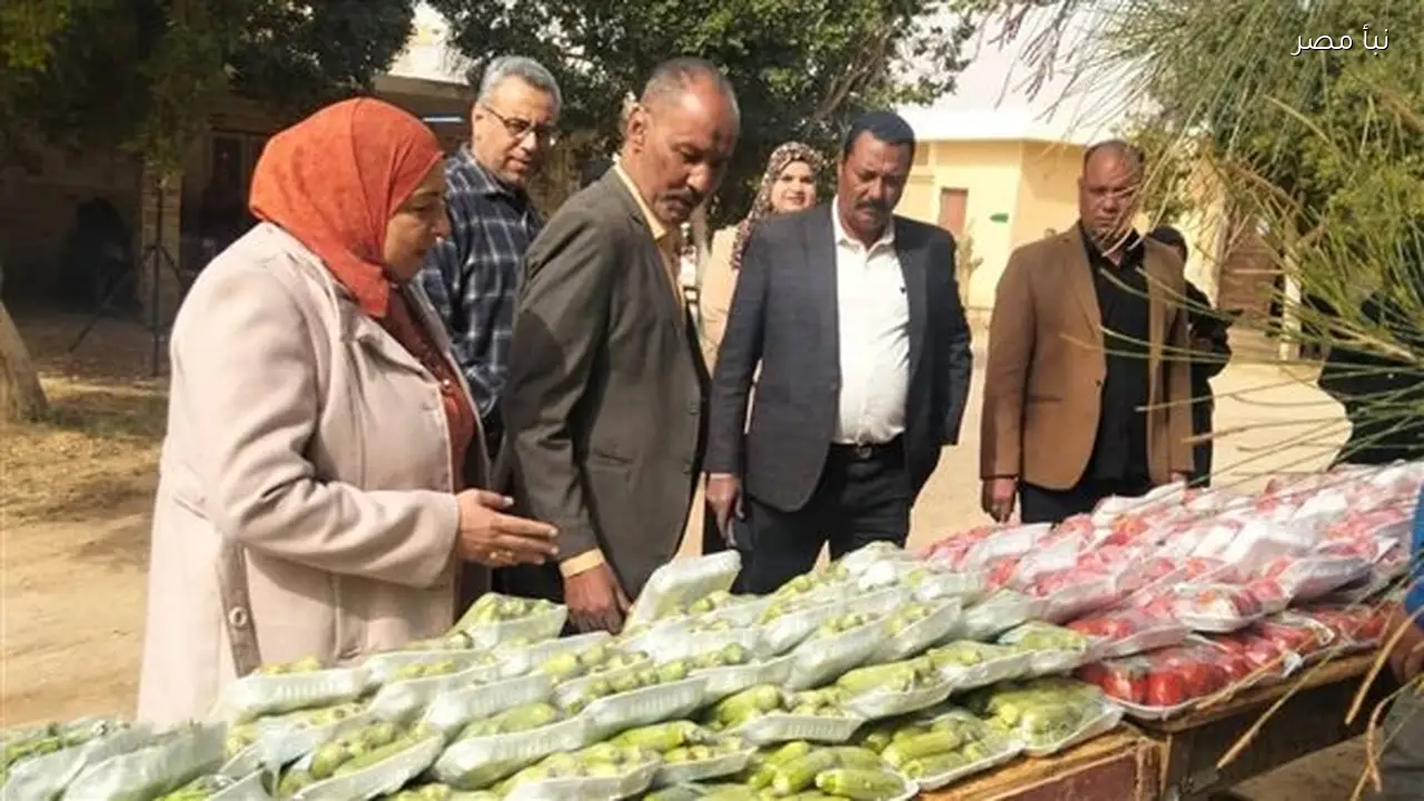 الوادي الجديد تنظم فعاليات اليوم السكاني في قرية المنيرة