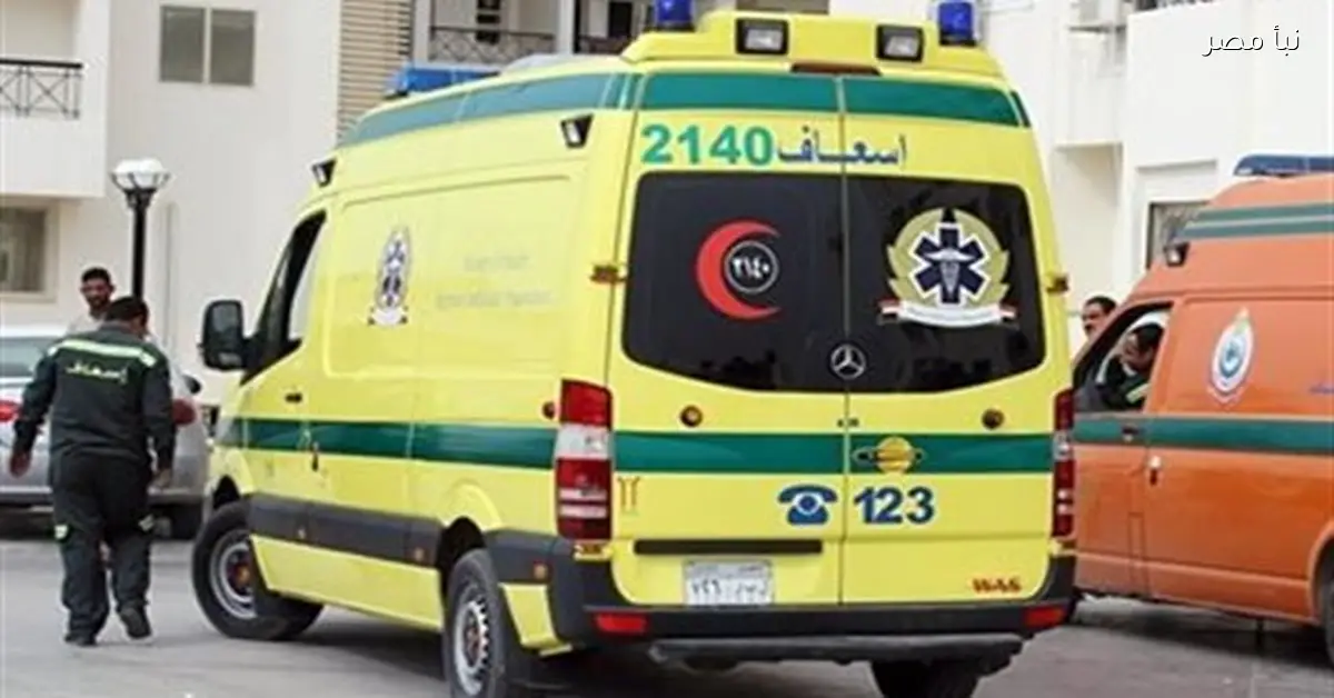 انقلاب ميكروباص على الطريق الصحراوي بالمنيا يسفر عن إصابات بينهم أطفال