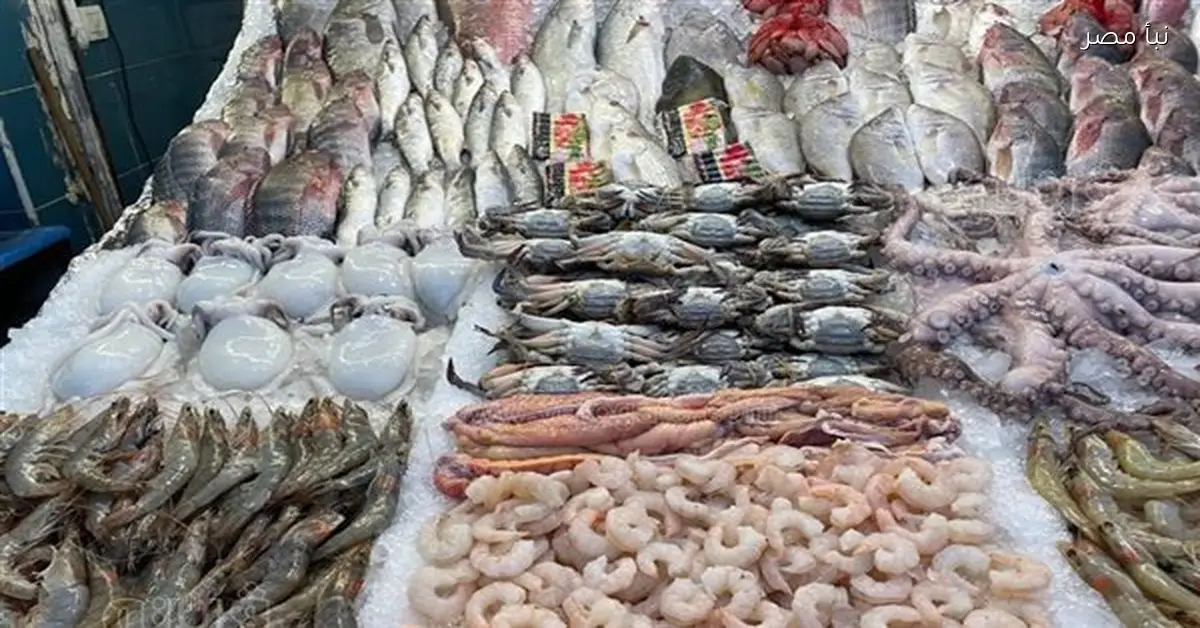 تباين أسعار الأسماك في سوق العبور اليوم الثلاثاء السادس من يناير 2026