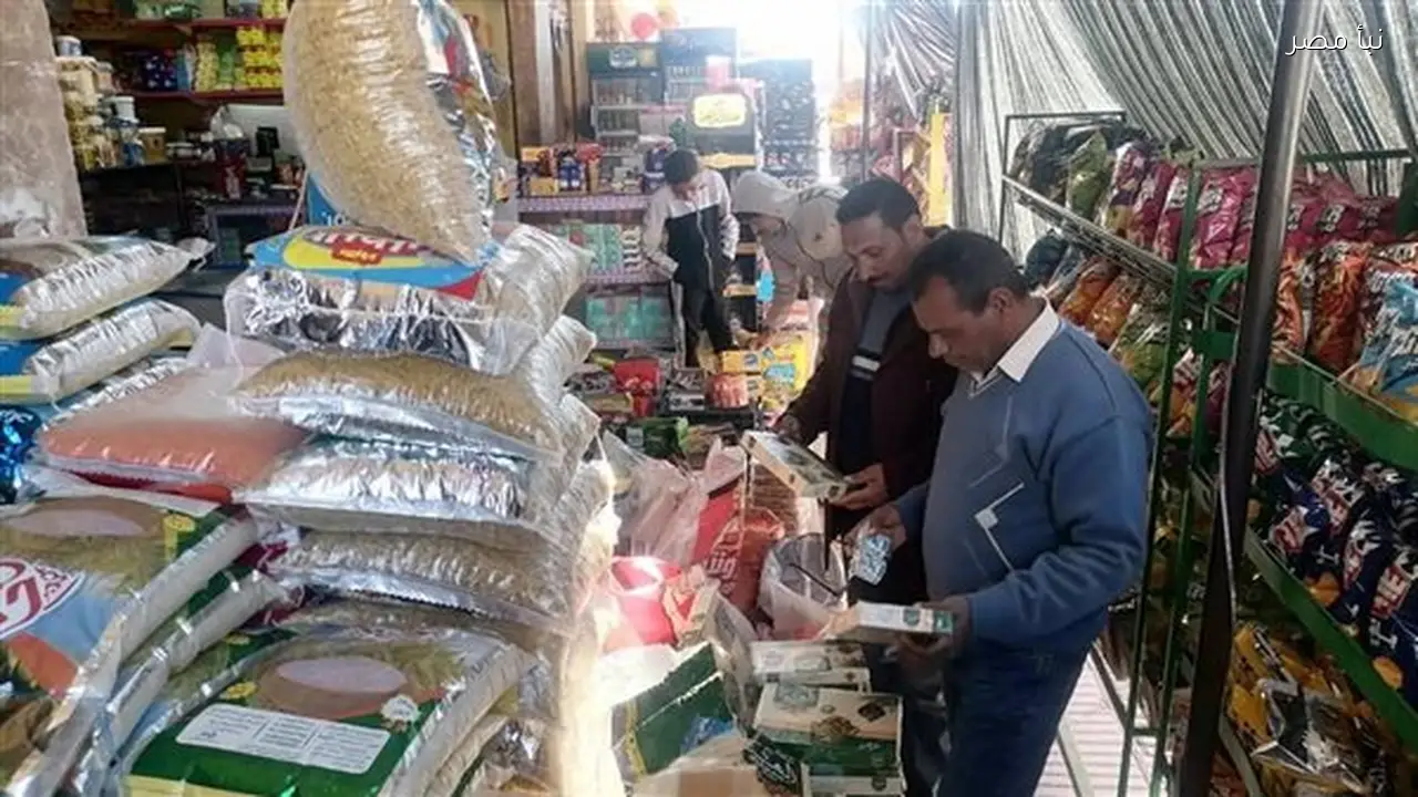 تحرير تسعين مخالفة خلال حملة تفتيش على المحلات والأسواق في الوادي الجديد