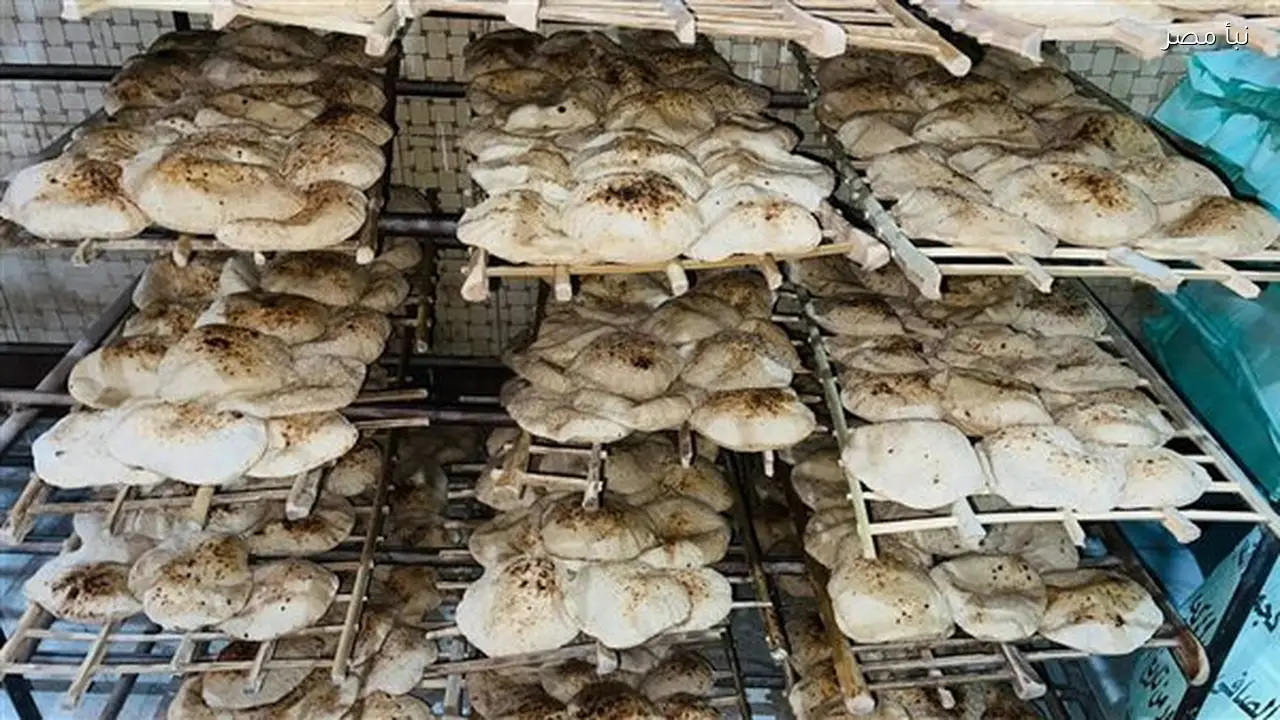 تحرير خمسة وخمسين محضرًا تموينيًا خلال حملات رقابية على المخابز في القليوبية