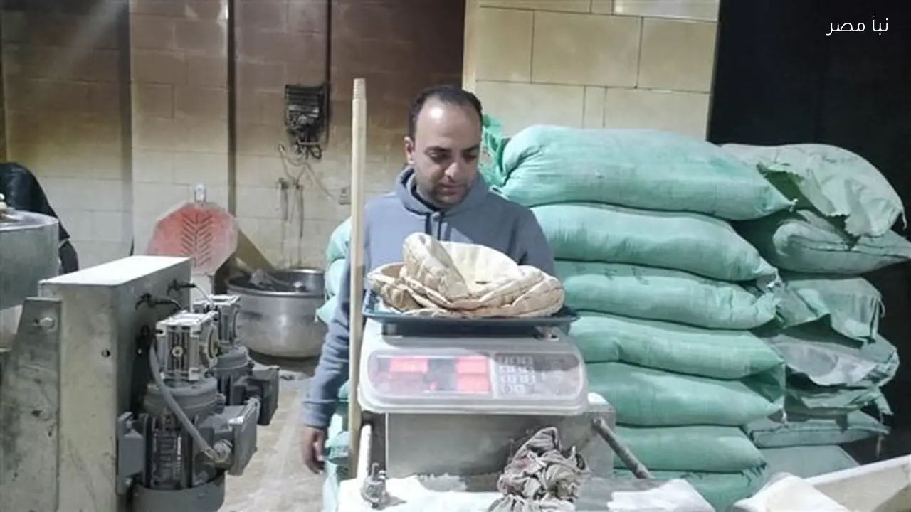 تحرير سبع محاضر تموينية خلال حملة موسعة على المخابز في مدينة دسوق