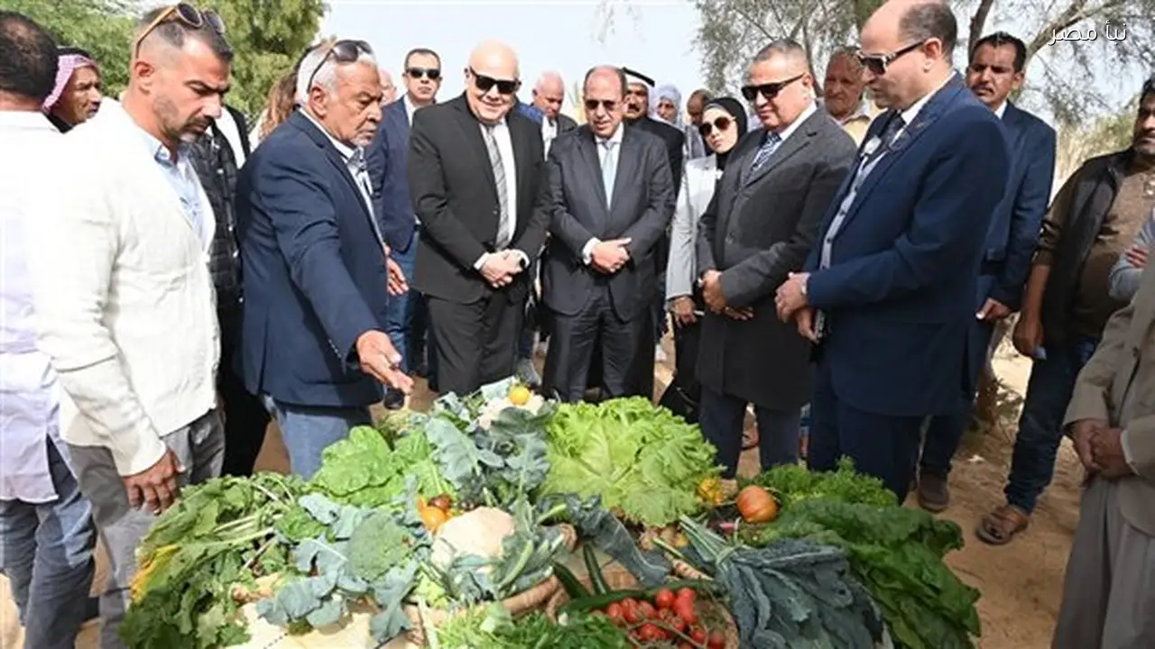 تدشين مشروع بحثي لتحويل المخلفات الزراعية إلى علف حيواني في نويبع لدعم الاستدامة الزراعية