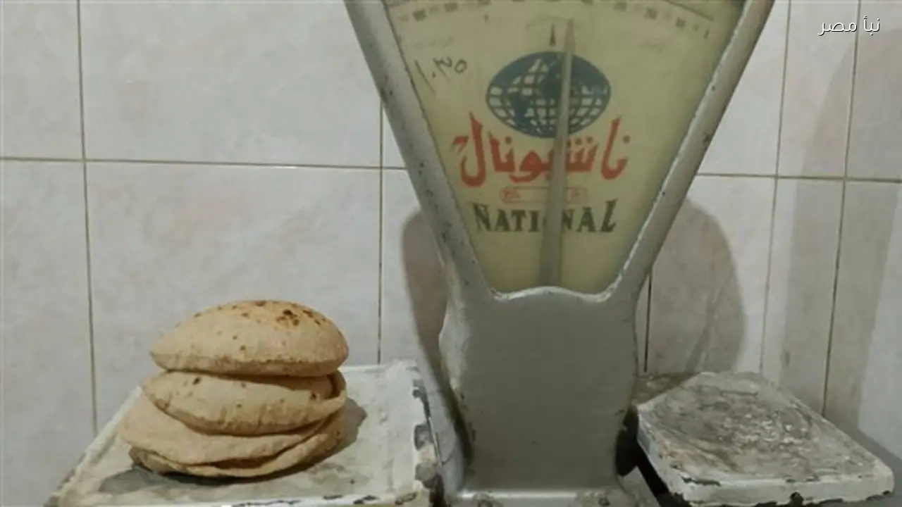 تموين القليوبية يحرر 82 مخالفة خلال حملات تفتيشية على المخابز