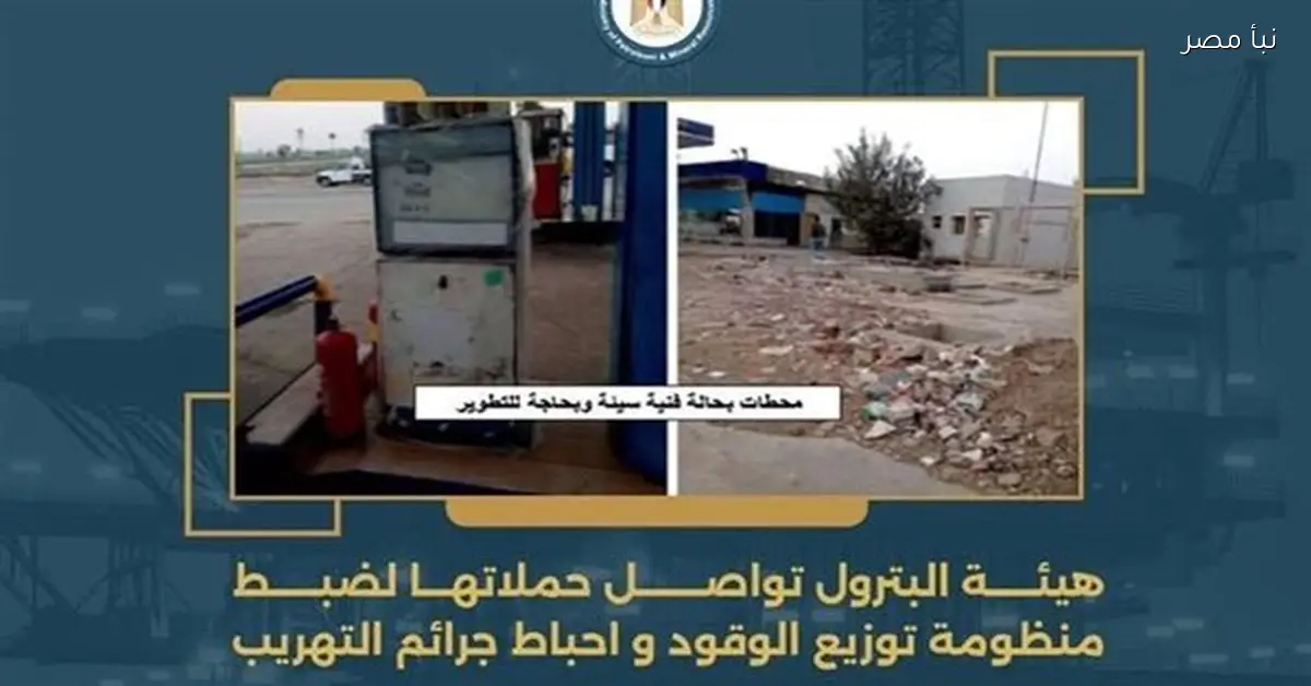 حملات شاملة من وزارة البترول لضمان توزيع الوقود ومكافحة تهريب المواد البترولية