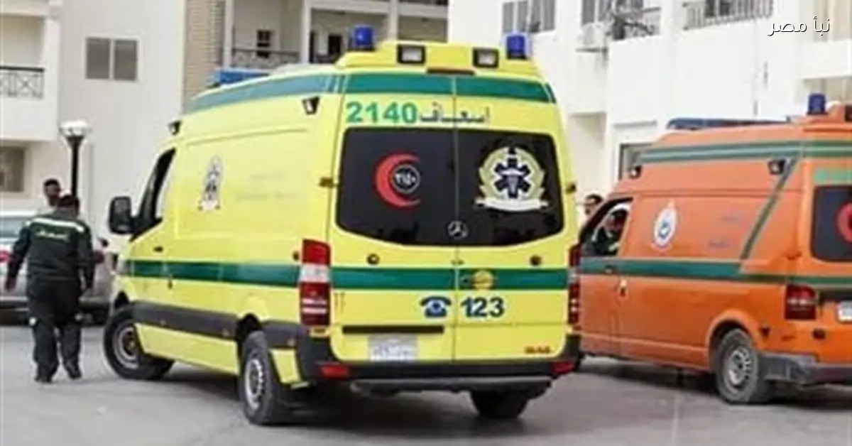 رفع درجة الاستعداد القصوى في أسيوط احتفالا بأعياد الميلاد المجيد