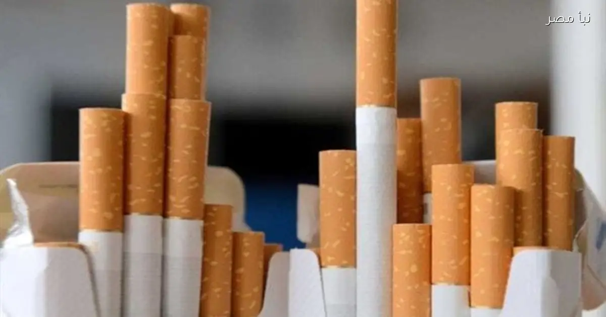شعبة الدخان تؤكد ثبات حصص السجائر واستقرار الأسعار دون زيادات جديدة