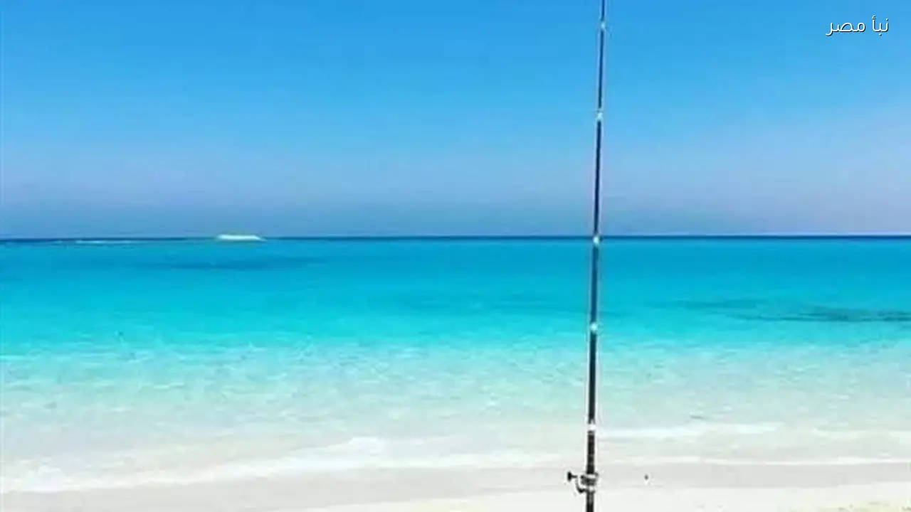 شواطئ مطروح توفر تجربة فريدة لقضاء إجازة نصف العام الدراسي