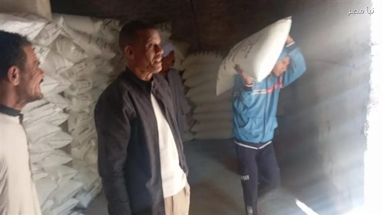 صرف 593 ألف شكارة سماد مدعم في قنا خلال الموسم الشتوي