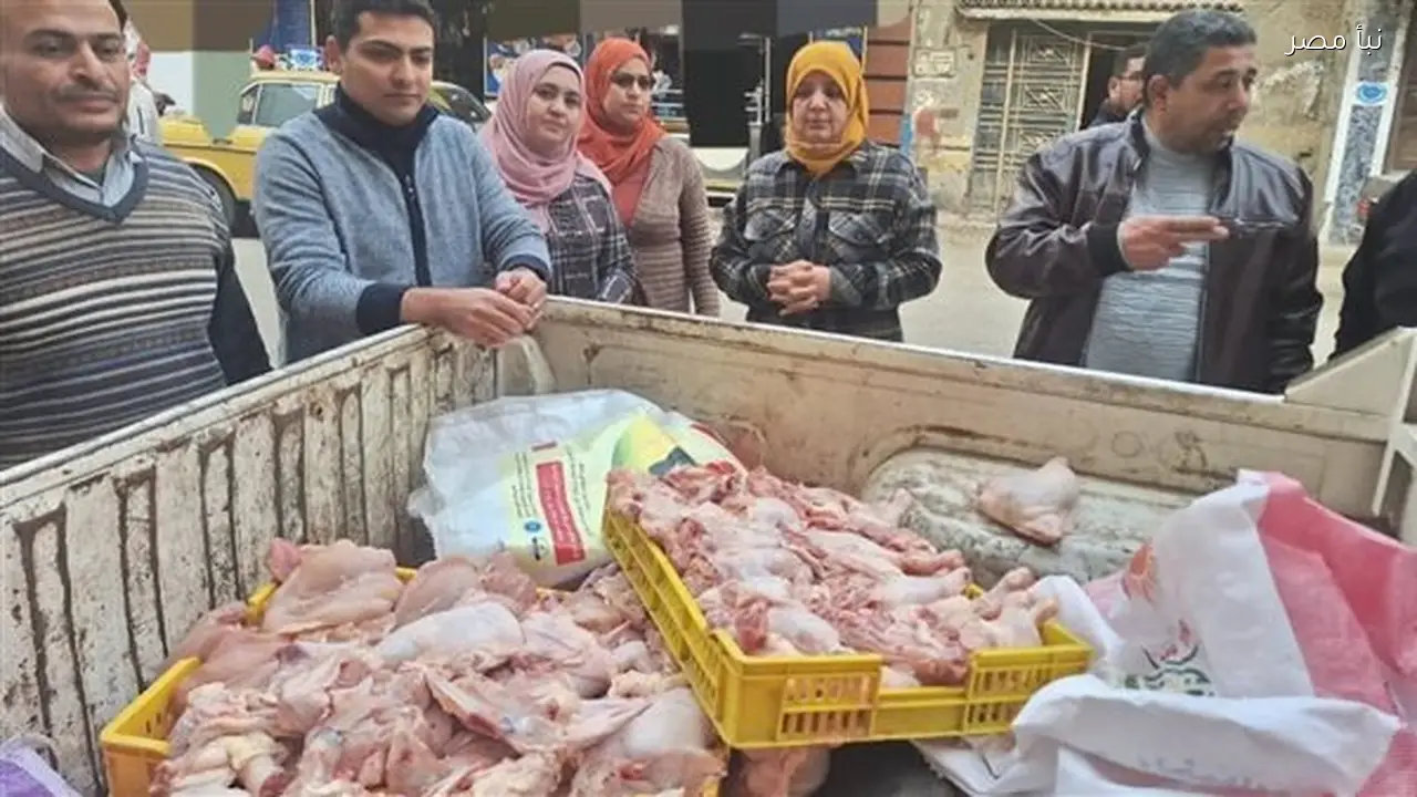 ضبط مئتي كيلوغرام من الدواجن المحقونة بالمياه في المنوفية وتبين عدم صلاحيتها للاستهلاك