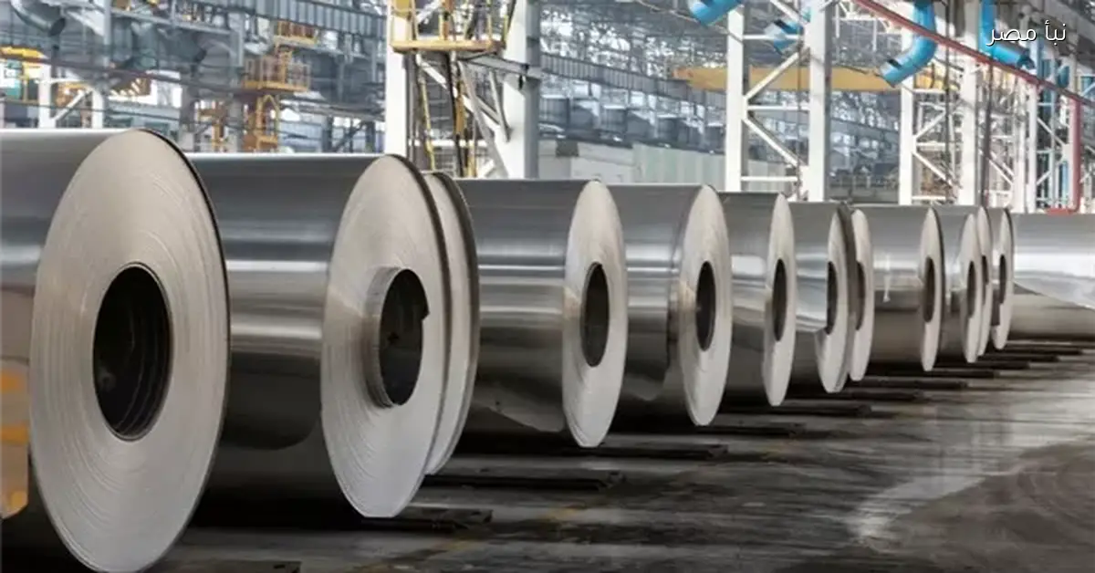 قطاع الأعمال يستعرض ثلاثة عروض للاستحواذ على حصة في شركة مصر للألومنيوم