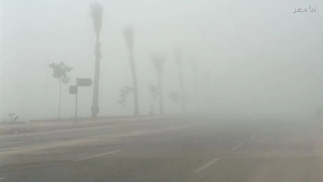 محافظة مطروح تنبه السائقين بخصوص كثافة الشبورة المائية على الطرق السريعة